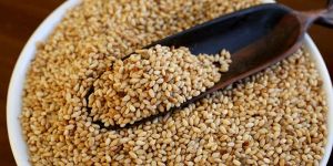 White Sesame Seeds