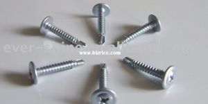 Truss Phillips Head Self Drilling Screw