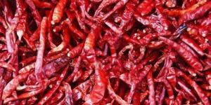 Red Chillies