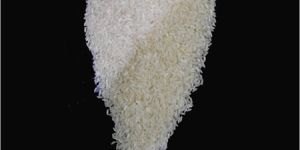IR64 White Non Basmati Rice