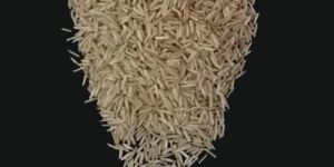 Pusa Brown Basmati Rice