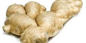 Ginger