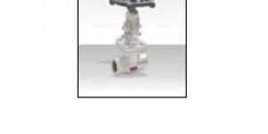 SAP FORGED GATE VALVE