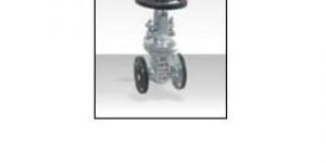 SAP GATE VALVE