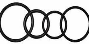 Silicon Rubber O Ring