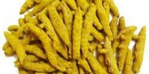 Turmeric