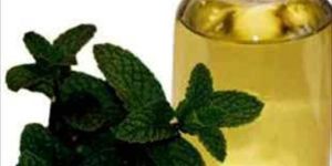 Peppermint Oil