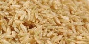 Brown Rice