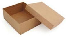 Telescopic Corrugated Boxes