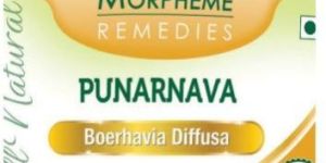 Punarnava Capsule