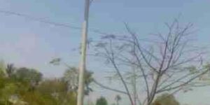 Solar CFL Street Lights