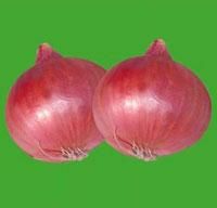 Onion Seeds