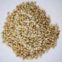 Senna Seeds