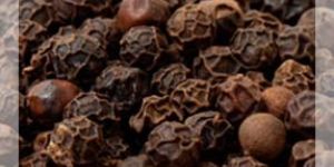 Black Pepper