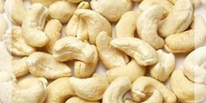 Cashew Nut