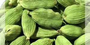 Green Cardamom