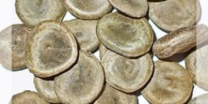 Nux Vomica Seed