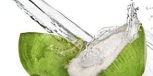 Tender Coconut Water