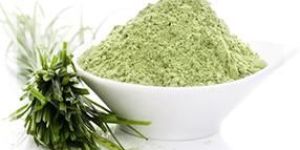 Wheatgrass Powder