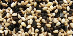 Sesame Seeds