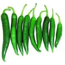 Fresh Green Chilli