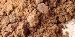 Jaggery Powder