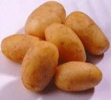Potato