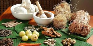 Ayurvedic Herbs