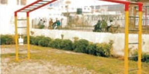 Bridge Ladder Climber