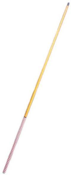 Pole Vault Pole