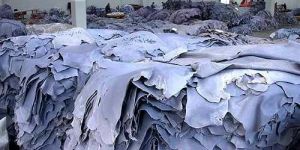 Wet Blue Printed Leather