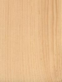 Plain Pinewood