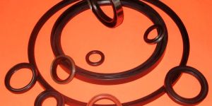 Oil Seals