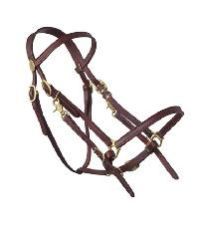 Horse Bridle