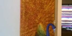 Peacock Wall Mural in Fiberglass