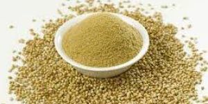 Coriander Powder