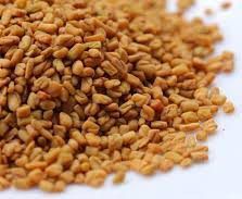 Fenugreek Seeds