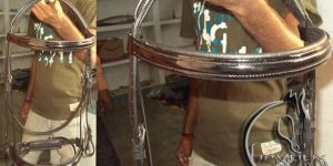 Horse Bridle