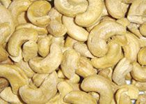 Cashew Nut Kernels