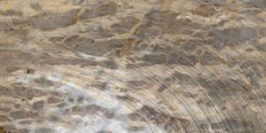 Tendu Beige Marble Block