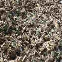 Shredded Steel Scrap