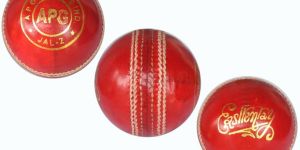 Leather Cricket Ball