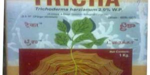 Printed Corrugated Boxes