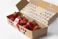 Fruit Packaging Boxes