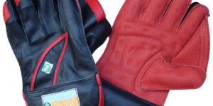 League Wicket Keeping Gloves