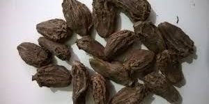 Black Cardamom