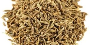 Cumin Seeds