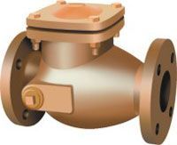 Non Return Valve