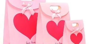 Designer Paper Gift Bags