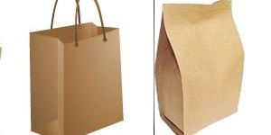 Paper Packaging Bags